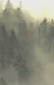 Holy war - XMAS - seconda parte
