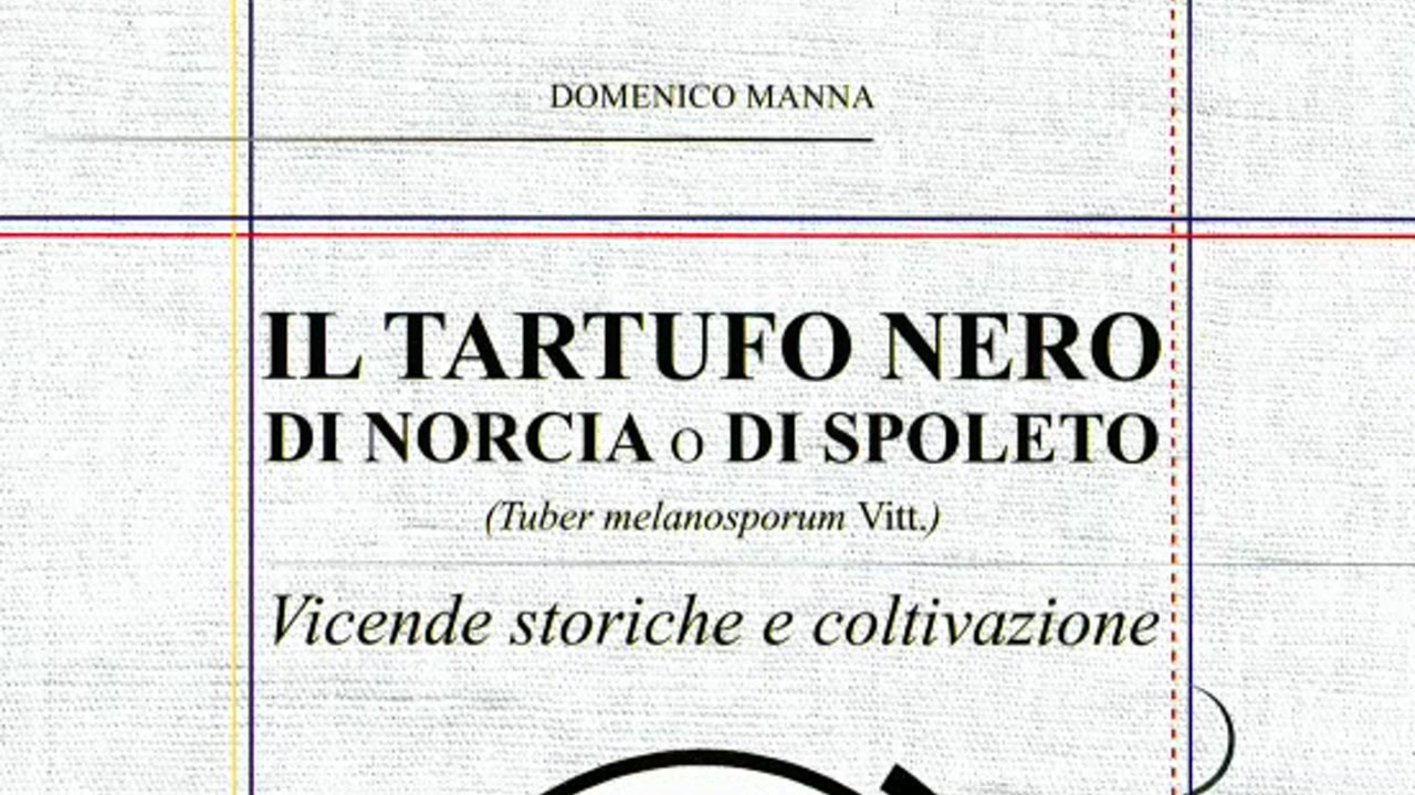 Incontro con gli autori: Domenico Manna